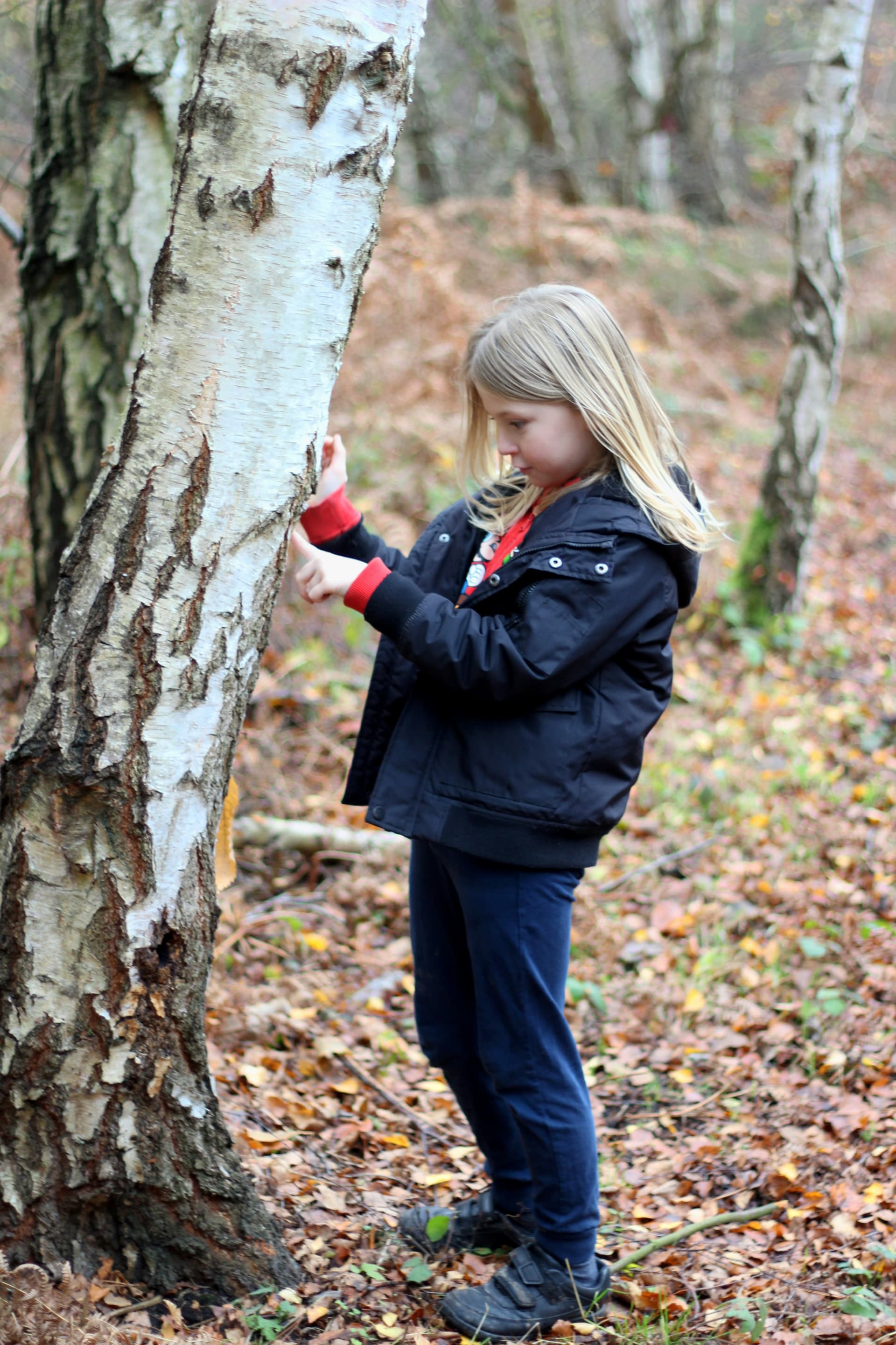 Children in traditional classroom setting