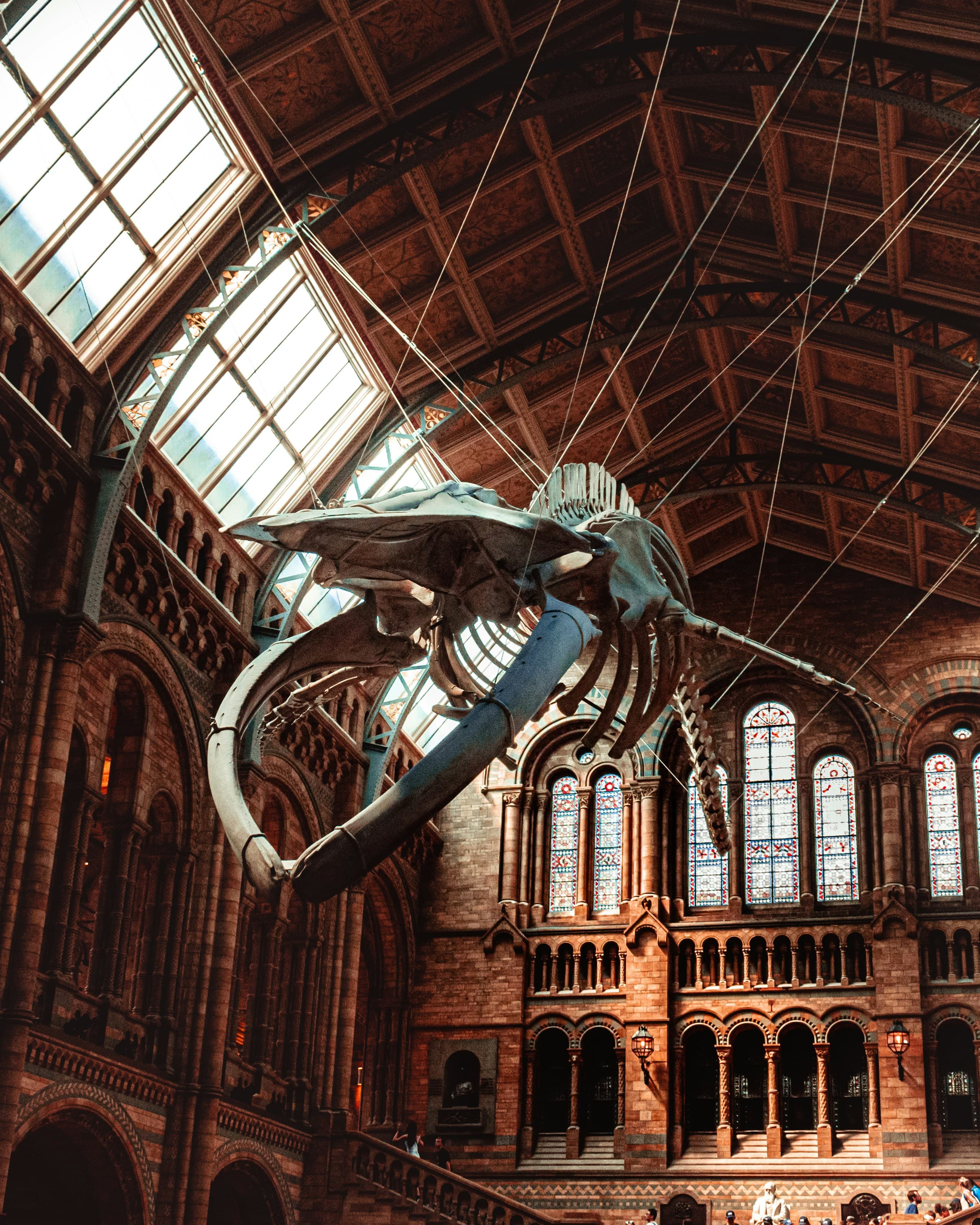Real-World Learning Adventures, Future-Ready Skills